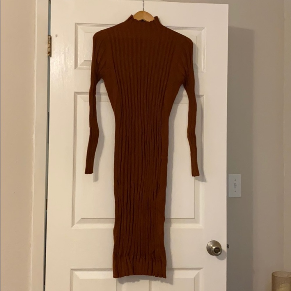 Bohme long sleeved turtle neck dress in Rust.